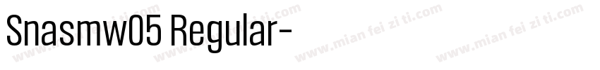 Snasmw05 Regular字体转换